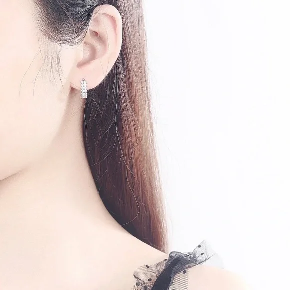 SOLD 925 Silver Needle Double Row Crystal Zircon Round Stud Earrings - Picture 5 of 5